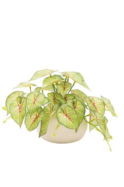 Moderna planta artificial de Syngonium Tendril