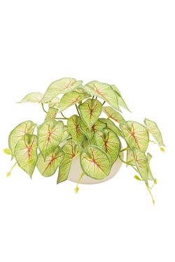 Moderna planta artificial de Syngonium Tendril