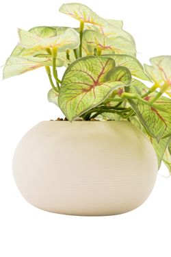 Moderna planta artificial de Syngonium Tendril