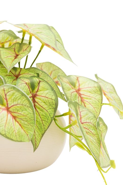 Moderna planta artificial de Syngonium Tendril