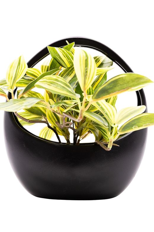 Moderna Tradescantia artificial