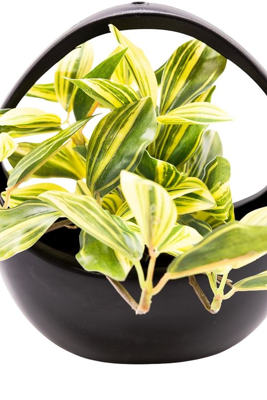 Moderna Tradescantia artificial