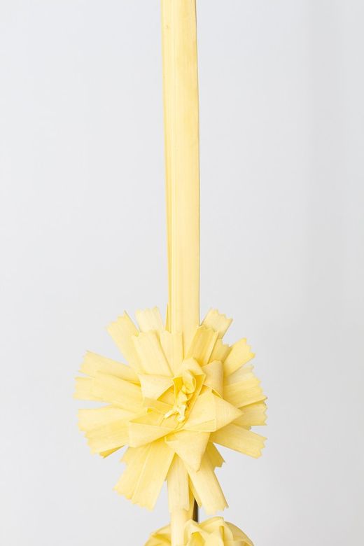 Palma Blanca para Domingo de ramos de 1 piso