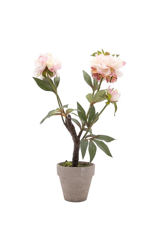 Delicada planta de Peonías artificiales en color rosa claro