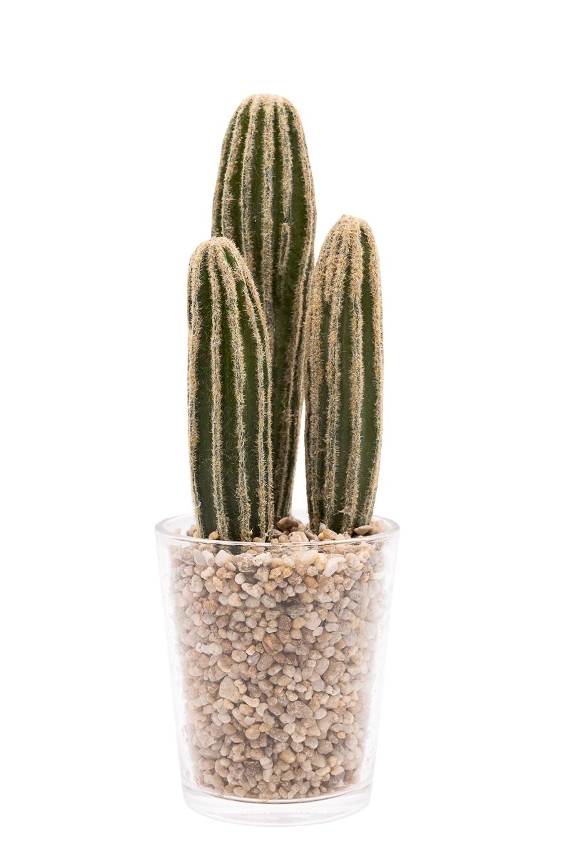 Pequeño cactus artificial en vaso de cristal