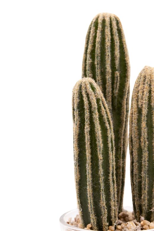 Pequeño cactus artificial en vaso de cristal