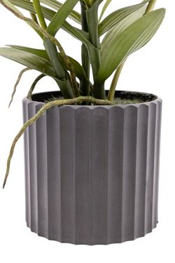 Planta artificial de Orquídea Dendrobium Bigibbum Rosa Fucsia