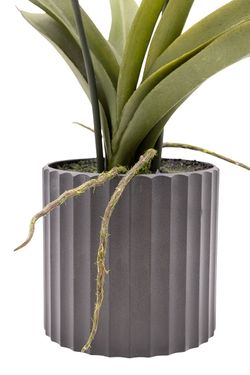 Planta artificial en rosa fucsia de Orquídea Oncidium Sharry Baby