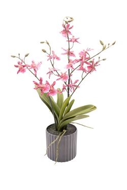 Planta artificial en rosa fucsia de Orquídea Oncidium Sharry Baby