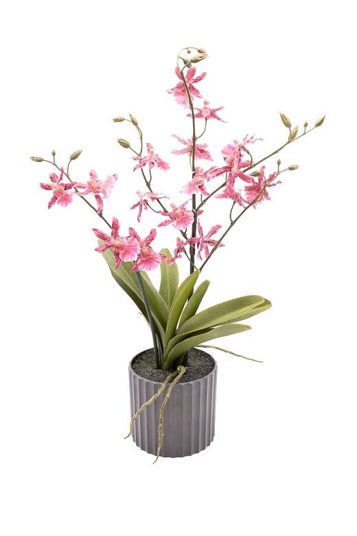 Planta artificial en rosa fucsia de Orquídea Oncidium Sharry Baby