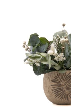 Preciosa decoración con flores preservadas y secas en color verde y blanco