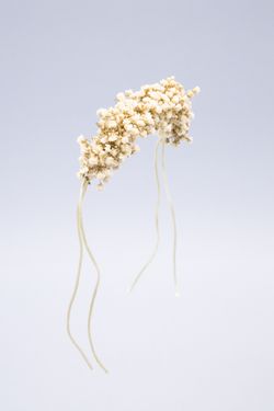 Pulsera de paniculata preservada