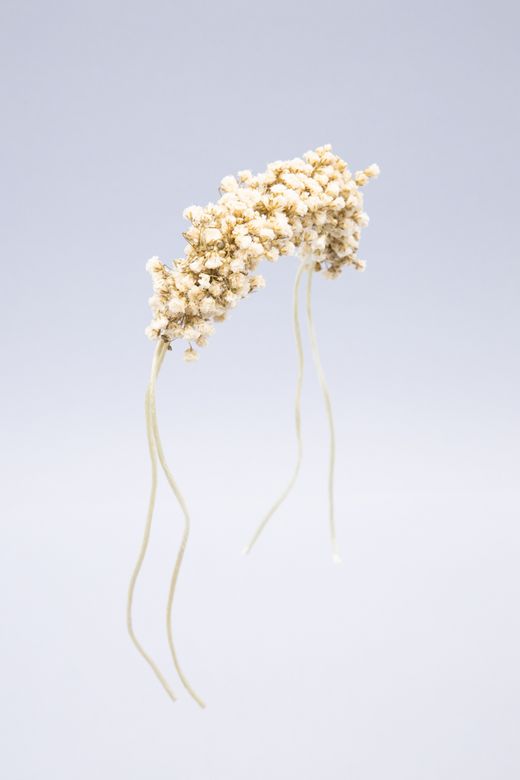 Pulsera de paniculata preservada