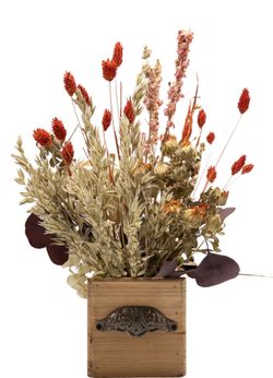 Radiante centro de flores secas y preservadas en tonos cálidos