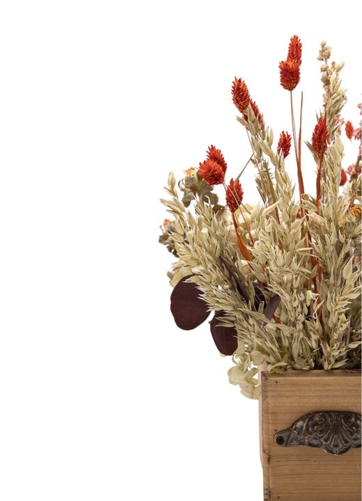 Radiante centro de flores secas y preservadas en tonos cálidos