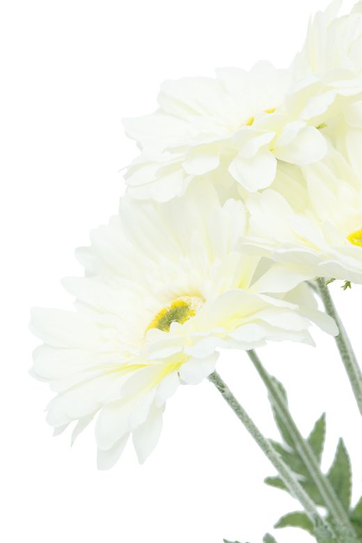 Ramillete artificial luminoso de gerberas crema
