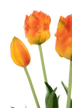 Ramillete cálido de tulipanes artificiales naranjas
