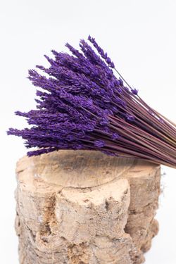 Buquê de lavanda seca preservado com fitas decorativas
