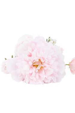 Ramillete delicado de peonía y ranúnculos rosados artificiales