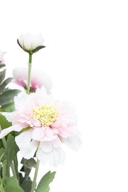 Ramillete delicado de peonía y ranúnculos rosados artificiales