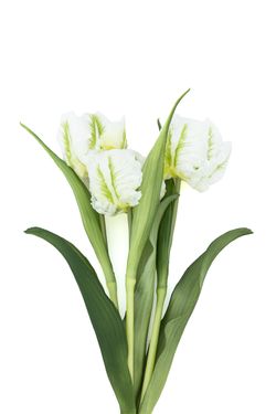 Ramillete elegante de tulipanes artificiales blancos