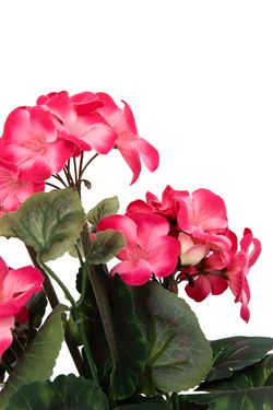Ramillete vibrante de geranios artificiales color fucsia