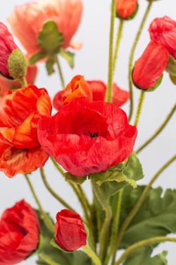 Ramo de flores de amapolas silvestres. Pura energía y pasión.