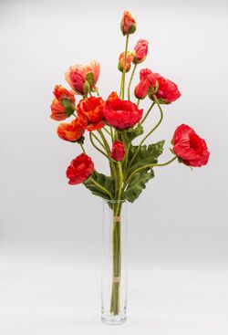 Ramo de flores de amapolas silvestres. Pura energía y pasión.