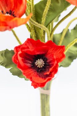 Ramo de flores de amapolas silvestres. Pura energía y pasión.
