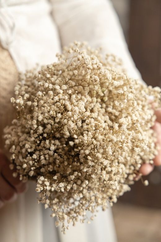 Ramo de novia con paniculata preservada. Todo un clásico para las novias más románticas y femeninas.