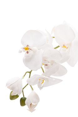 Refinada Orquídea artificial Phalaenopsis en color blanco