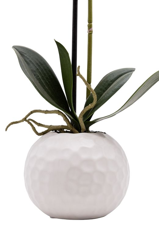 Refinada Orquídea artificial Phalaenopsis en color blanco