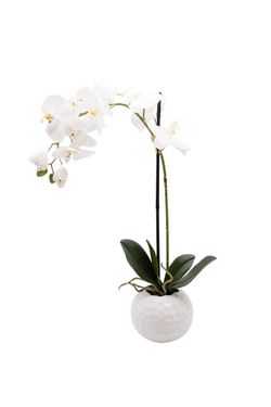 Refinada Orquídea artificial Phalaenopsis en color blanco