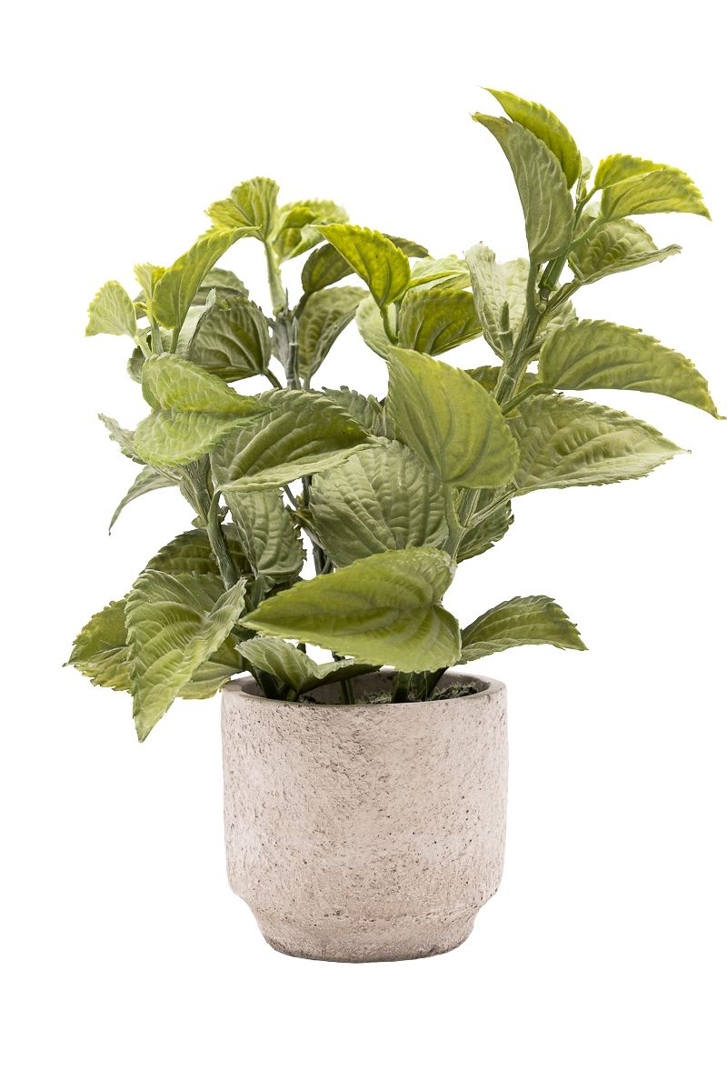 Refrescante Menta artificial