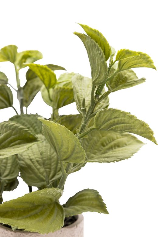 Refrescante Menta artificial