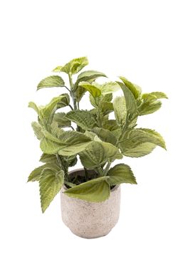 Refrescante Menta artificial