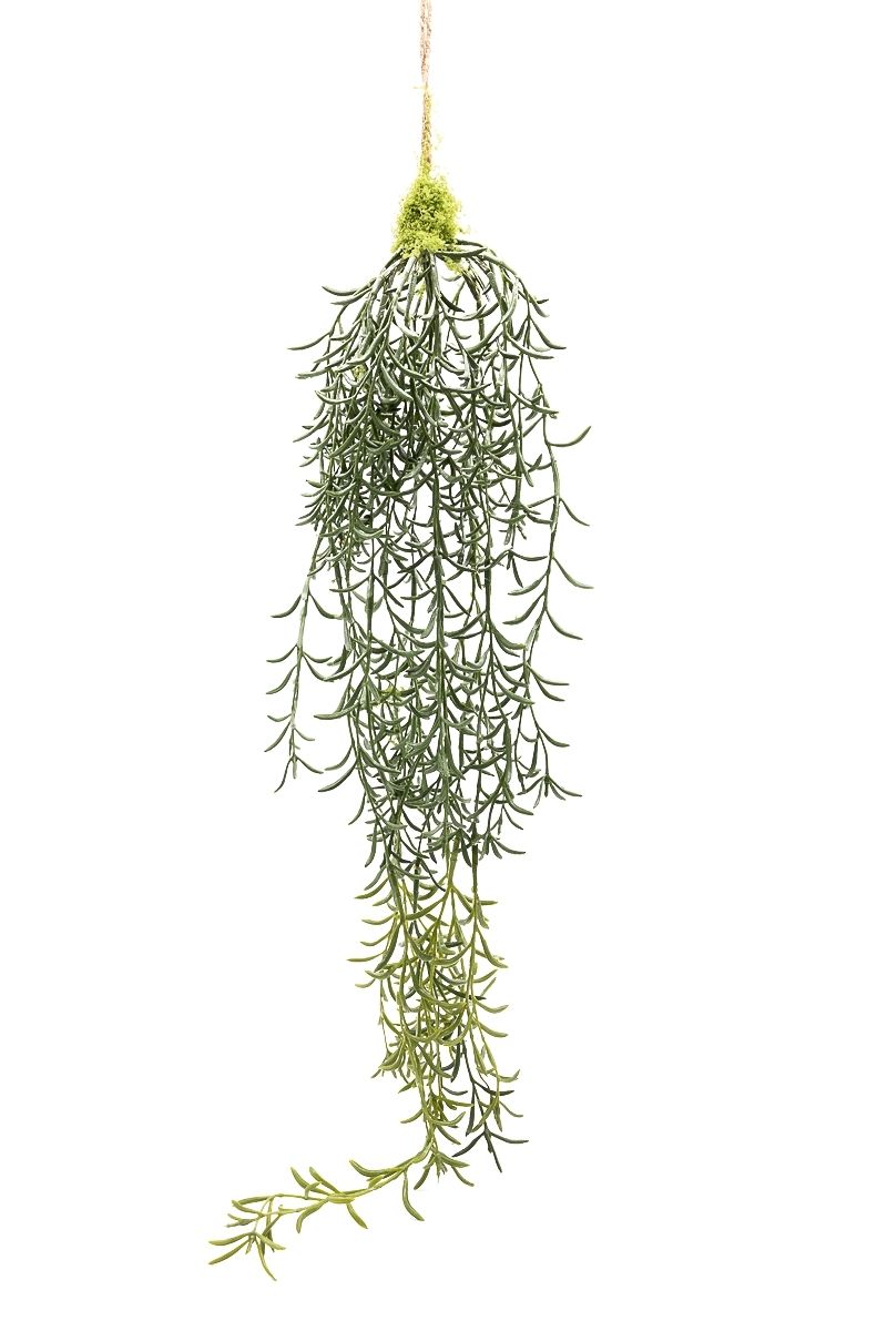 Senecio colgante artificial
