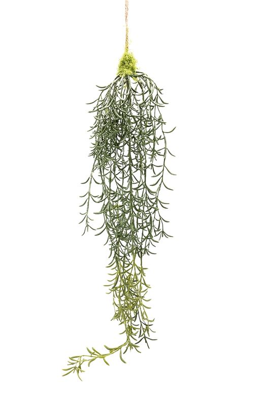 Senecio colgante artificial