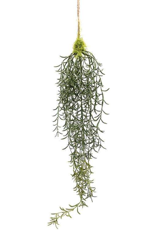 Senecio colgante artificial
