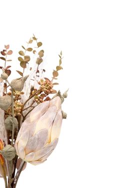 Silvestre Bouquet mixturizado con Protea