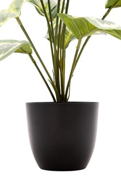 Sofisticada Calathea Artificial