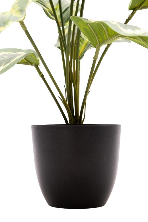Sofisticada Calathea Artificial