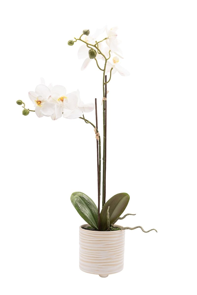 Sofisticada Orquídea artificial en color blanco