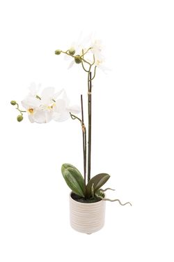 Sofisticada Orquídea artificial en color blanco