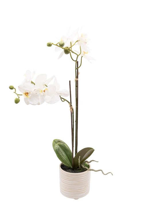 Sofisticada Orquídea artificial en color blanco
