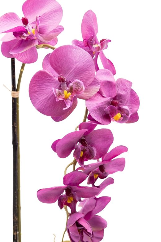 Sutil artificial Orquídea Phalaenopsis en color lila