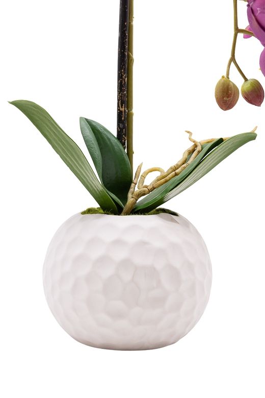 Sutil artificial Orquídea Phalaenopsis en color lila