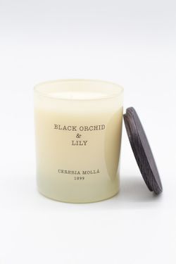 Vela Premium de 230 Grs. Orquídea preta e lírio. Coleção Boutique CERERIA MOLLA 1899. Feito à mão. +/- 50 horas