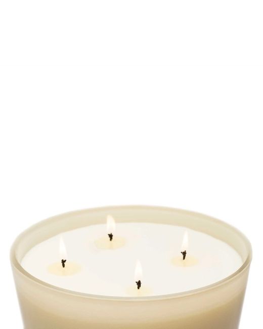 Vela XXL Premium. Verbena di Sicilia. Coleção Boutique CERERIA MOLLA 1899. Feito à mão. +/- 200 horas