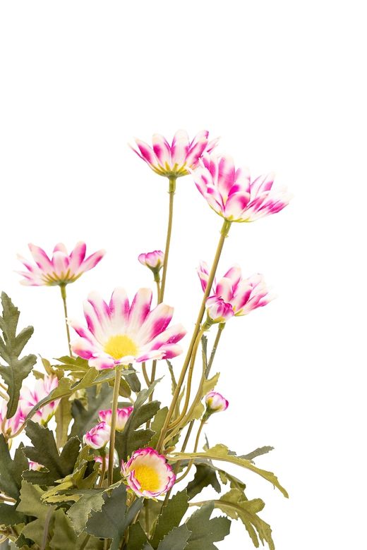 Vibrante arreglo floral de margaritas artificiales fucsia y blancas